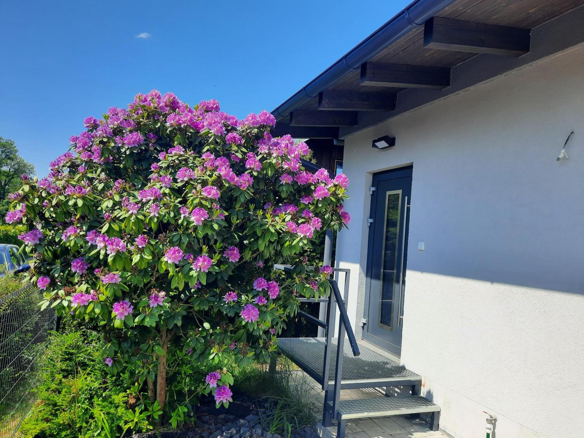 Bungalov Na Brehu Labe S Vlastnim Molem Pardubice Exteriér fotografie