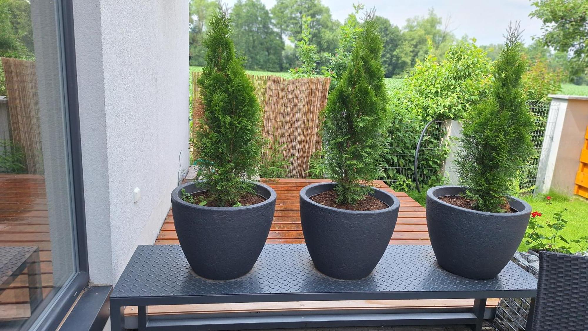 Bungalov Na Brehu Labe S Vlastnim Molem Pardubice Exteriér fotografie